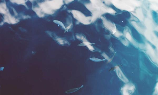 西藏发生严重泥石流灾害，265人失联3人...